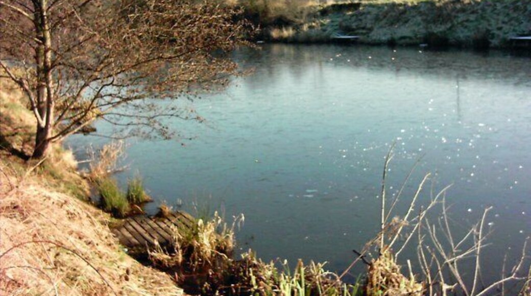 The Old River During the construction of the Manchester Ship Canal several sections of the River Irwell (which was canalised between Manchester and the point where it joined the Mersey near here)remained after its course was straightened. This is a picture of one of these sections, known locally as The Old River. Taken on a cold January day with ice on the surface.