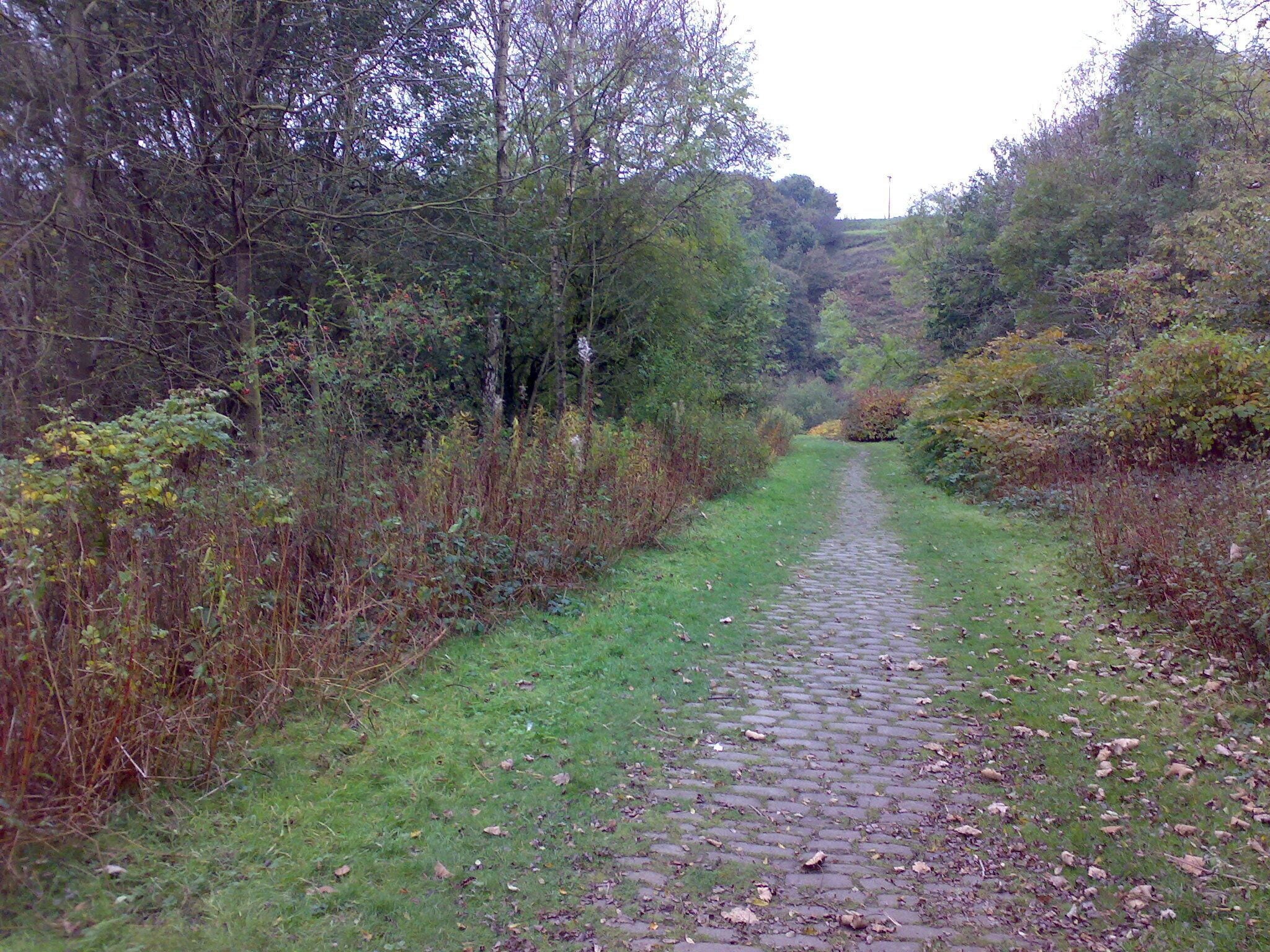 The cobbled road used to access Lever Bank Bleach Works, looking downhill southwest