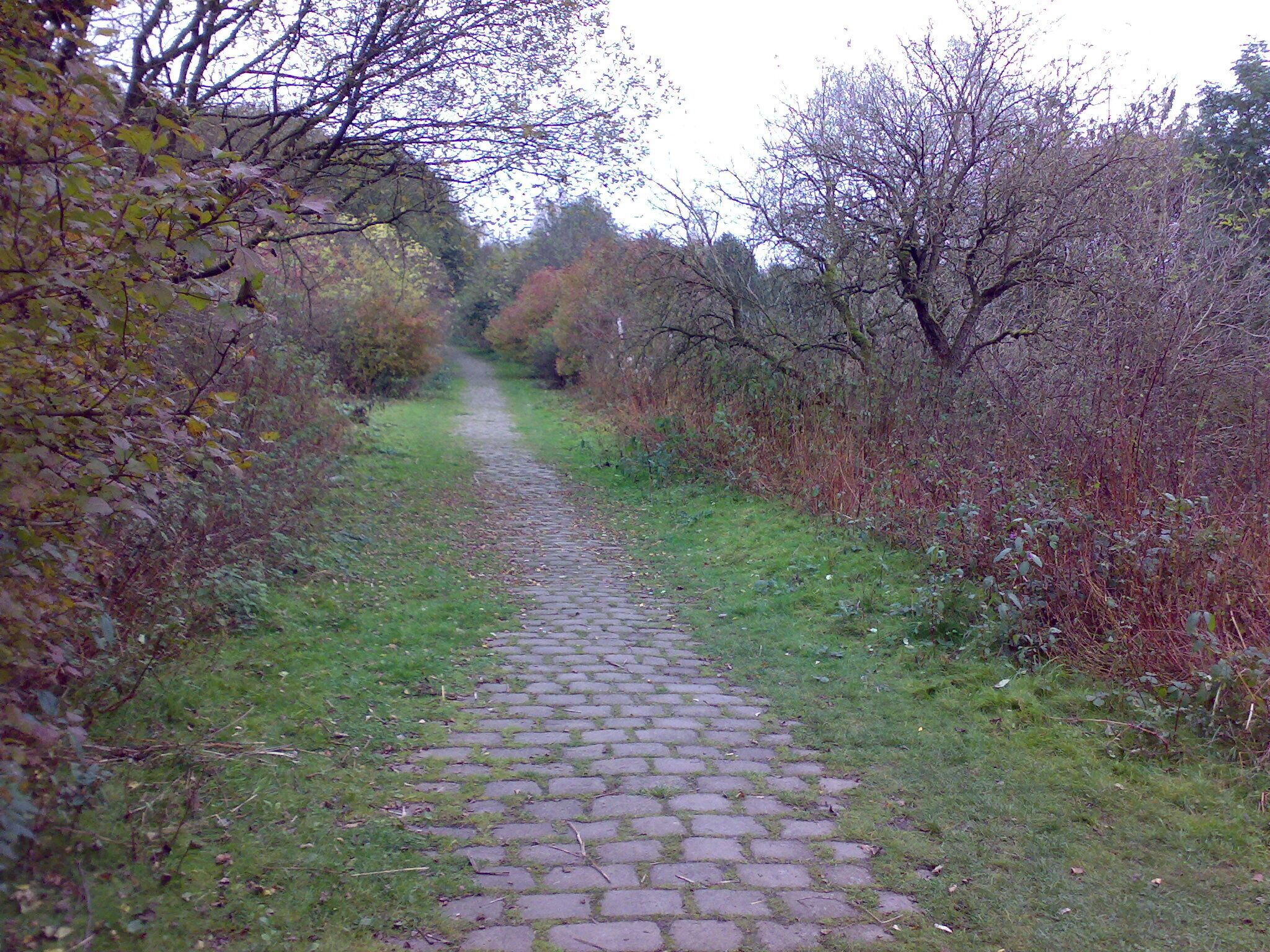 The cobbled road used to access Lever Bank Bleach Works, looking downhill northeast