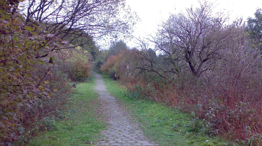 The cobbled road used to access Lever Bank Bleach Works, looking downhill northeast