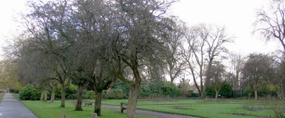 A park with a paved path, trees, and a small pond.
