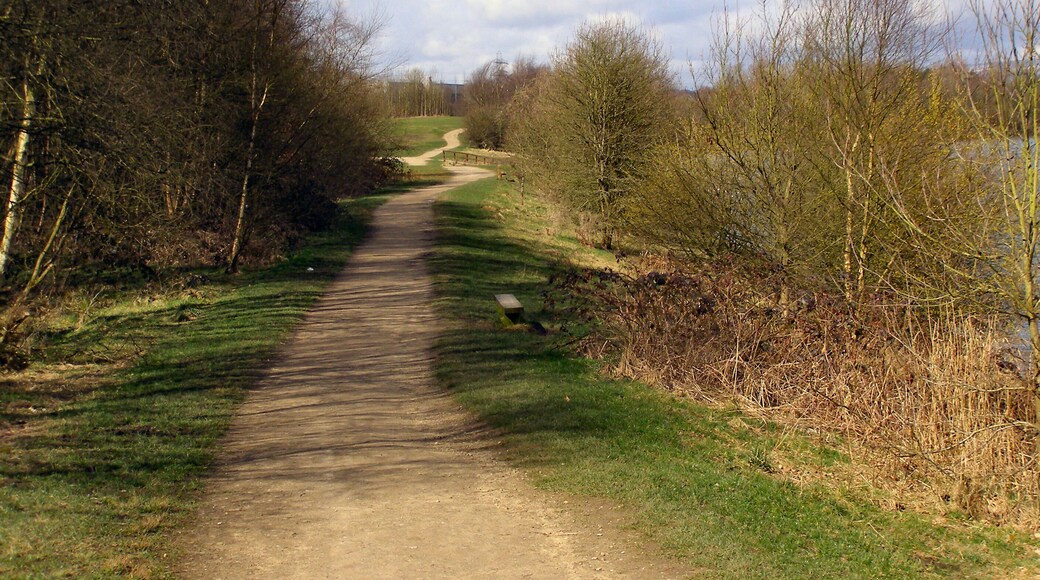 Clifton Country Park Path around the marina.