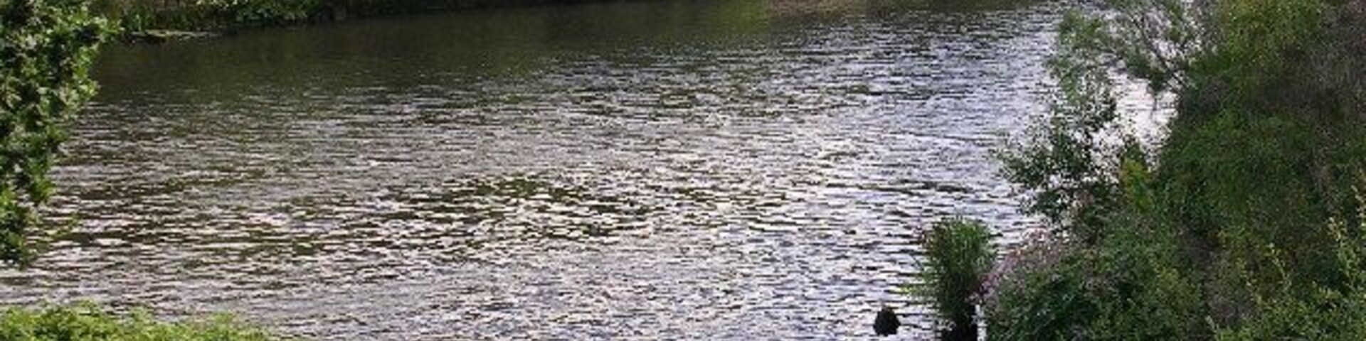 Glaze Brook enters the Manchester Ship Canal. Here, on the border between Cheshire and Salford, the Manchester Ship Canal receives the waters of Glaze Brook (also known as the River Glaze). The Glaze drains a substantial area of mossland hereabouts and was the boundary between the ancient Lancashire Hundreds of West Derby and Salford.This latter fact is recorded on the wall of a bridge near here that carries the A57 road over the Glaze, but as the wall is made of sandstone the lettering is wearing away.This part of the Ship Canal is a canalised section of the River Mersey. The Mersey joined the canal a little way upstream of this point (to the left) and will leave the canal a little further downstream, close to where the River Bollin joins the canal. Taken from SJ703912