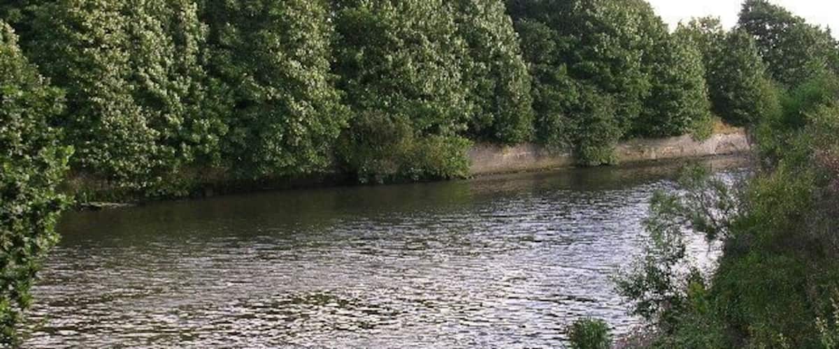 A river surrounded by dense greenery and trees.