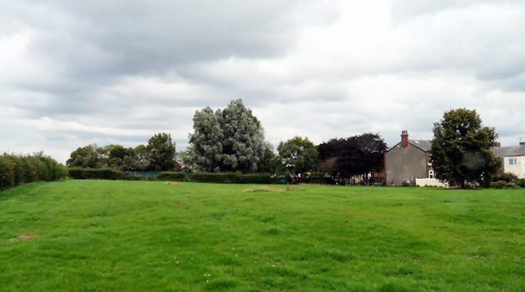 Field at Littlemoss A green field behind Littlemoss High School between Wayne Close and Andrew Street.