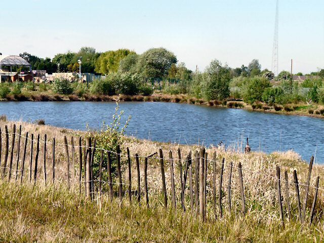 Ashton Moss Pond Pond at the rear of Ashton Park Garden Centre.