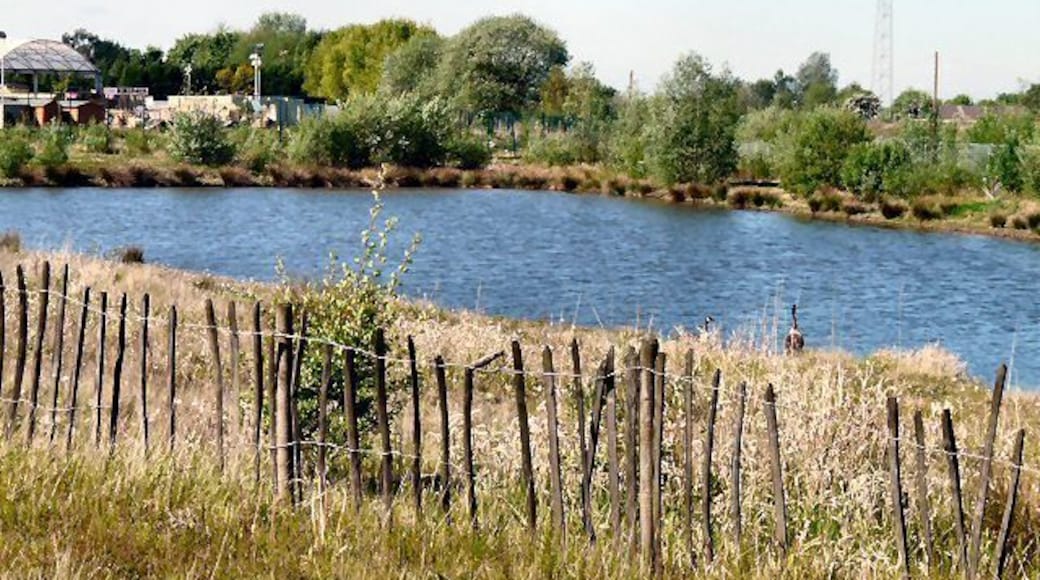 Ashton Moss Pond Pond at the rear of Ashton Park Garden Centre.