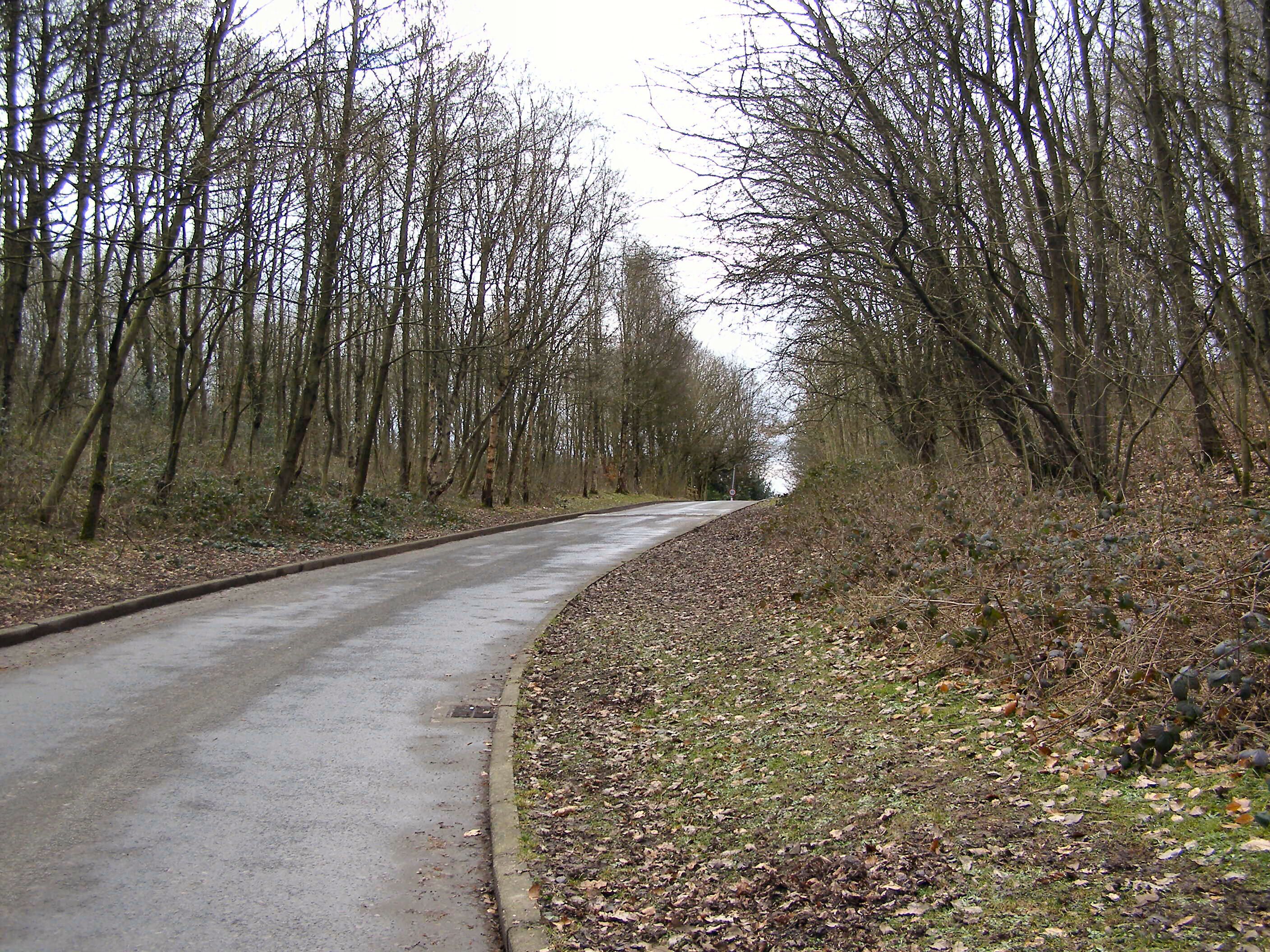 Philips Park; Mid Wood