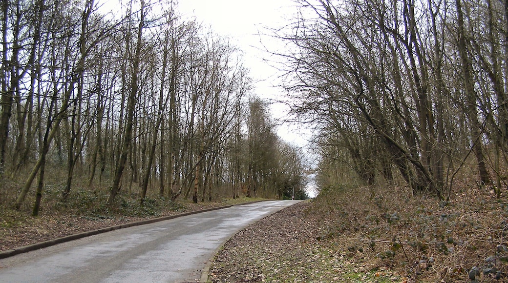 Philips Park; Mid Wood