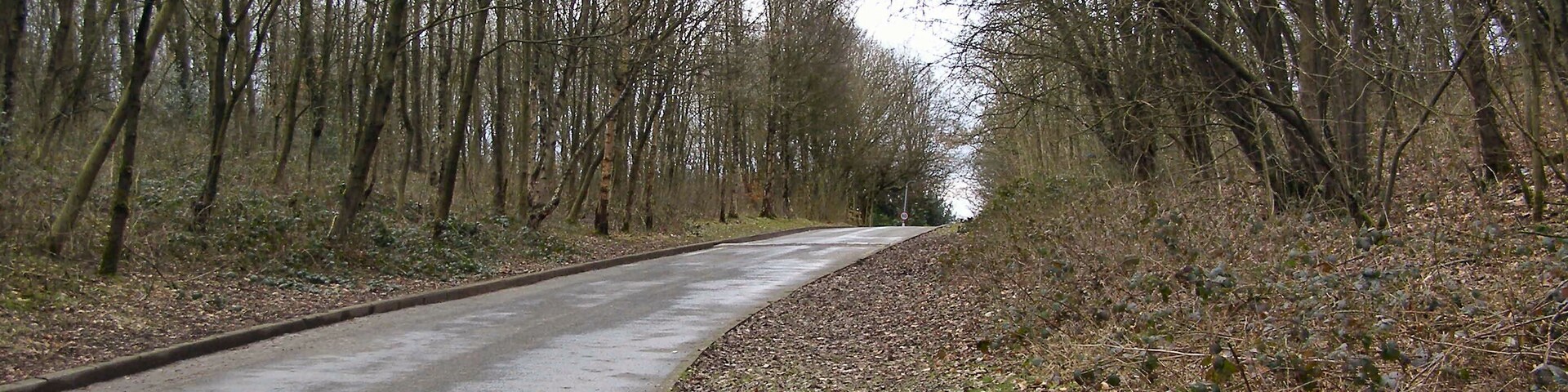 Philips Park; Mid Wood