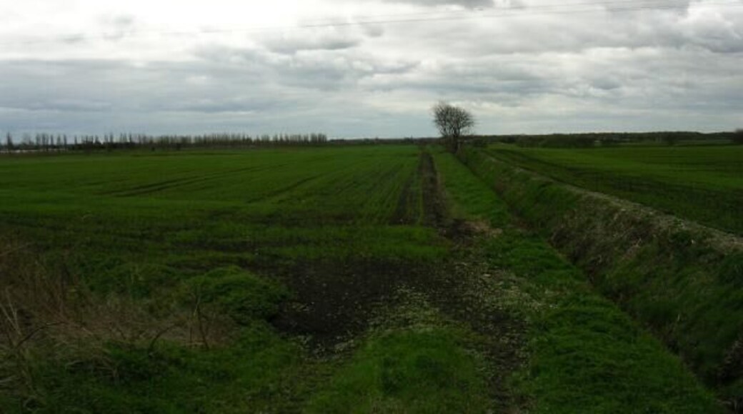 Mossland, Irlam, Manchester. The moss here is mostly reclaimed as farmland. It shows a drainage ditch typical of this type of land. The picture was taken from the minor road that just enters the NE corner of the square (SJ 709 939) and shows the view to the SW, where the plantation of New Moss Wood has been created. This being part of the Red Rose Forest project (see www.redroseforest.co.uk for info.)