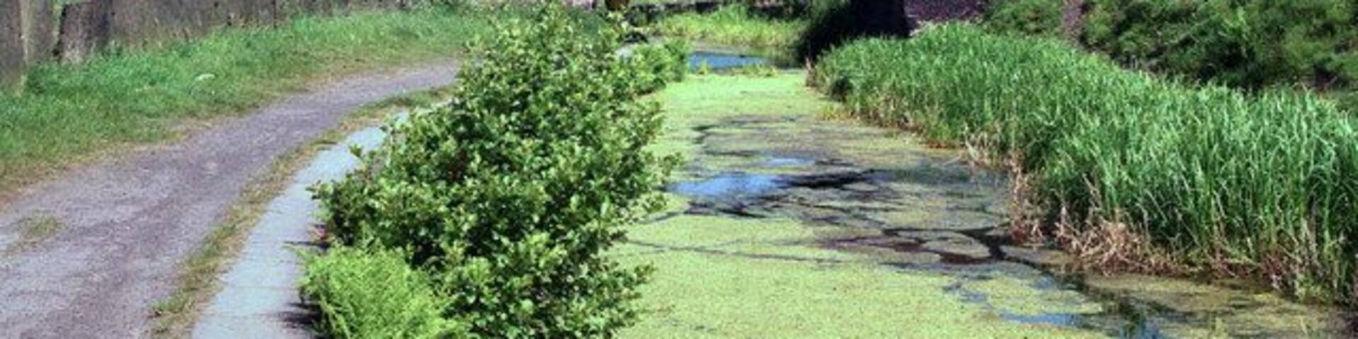 Prestolee Bridge, Manchester Bolton and Bury Canal Looking north-west, i.e. towards the Bury end of the canal. This bridge is very close to Prestolee Aqueduct. It carries a right of way on foot.