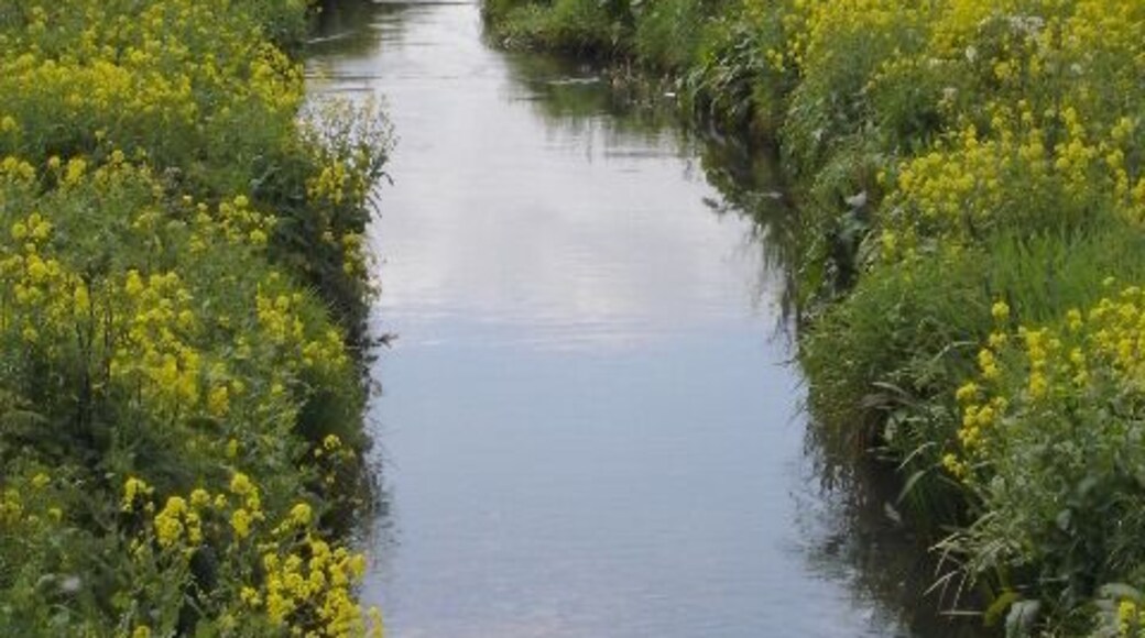 Platt Brook. Platt Brook runs parallel to the old railway line, now part of the Fallowfield Loop cycle path.