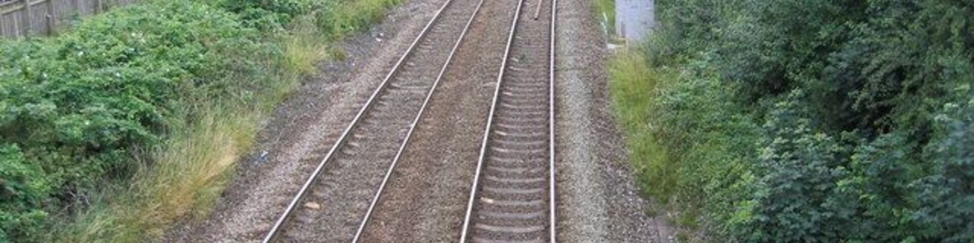 Vías de tren rodeadas de follaje y una valla.