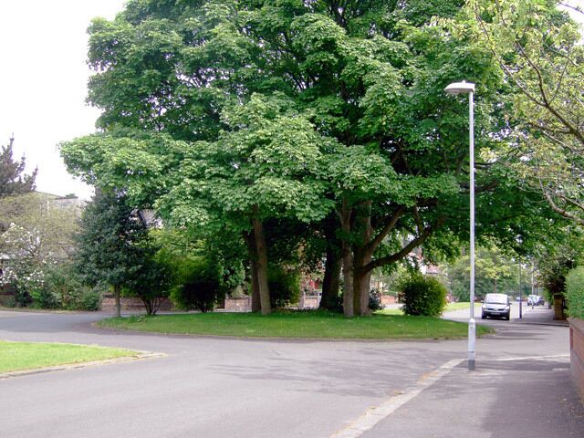 Roundabout on Old Broadway, Manchester Old Broadway is a private dual-carriageway cul-de-sac of large semi and fully detached houses, popular with media people and the like.