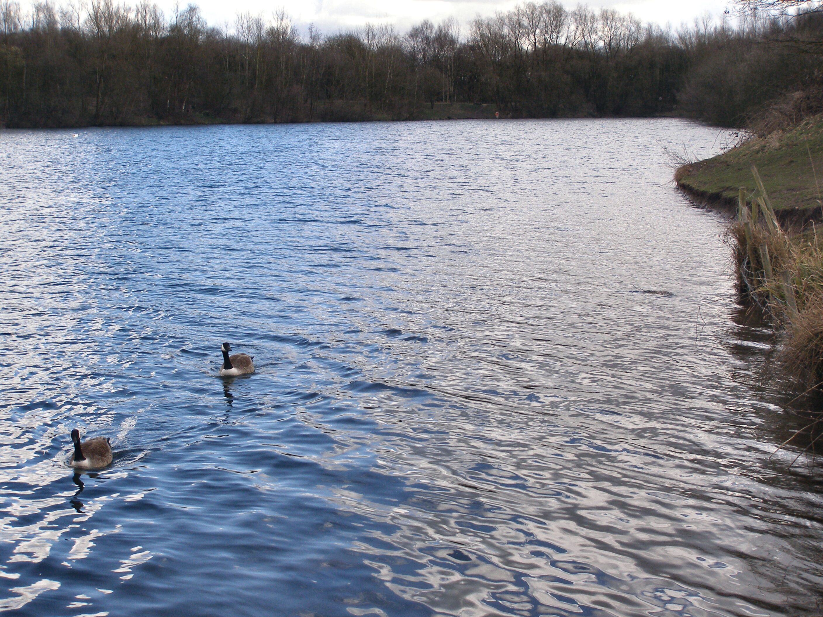 Clifton Marina Looking south-east from the viewing platform