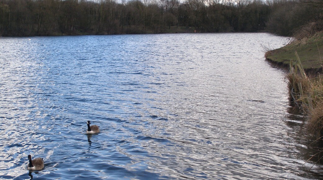 Clifton Marina Looking south-east from the viewing platform