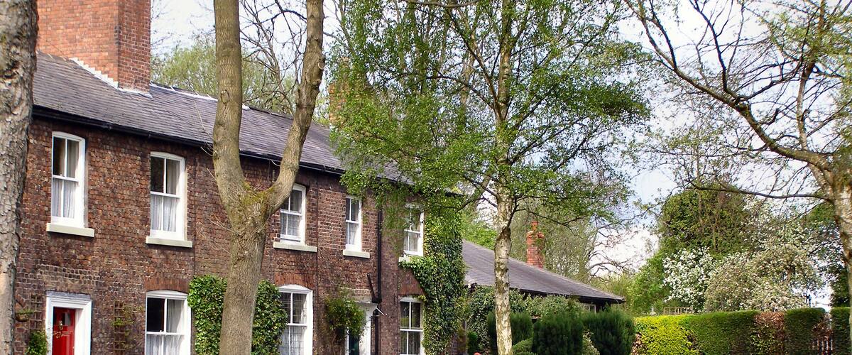 A brick house with a red door, surrounded by a well-maintained garden with grass, dandelions, and various shrubs.