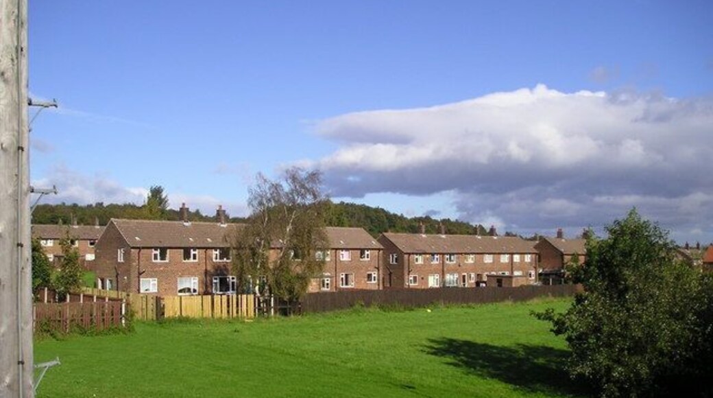Hag Fold Estate Taken from the platform of Hag Fold railway station, overlooking a field & some of the houses on this large council estate.