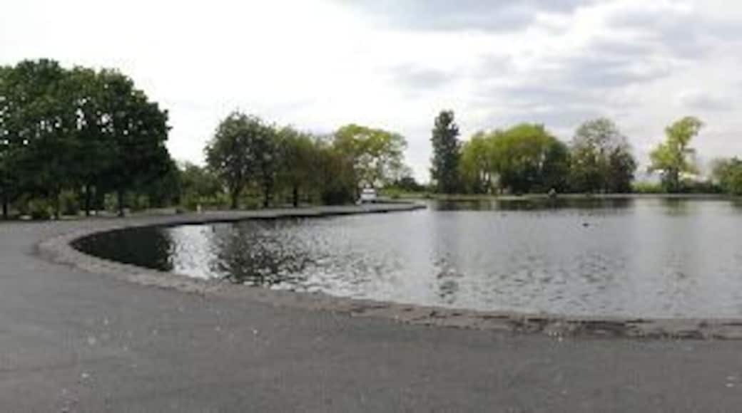 Platt Fields Park. A panoramic view of Platt Fields Park lake. The heart-shaped lake and island were constructed in the winter of 1908-9 by some 700 previously unemployed men.