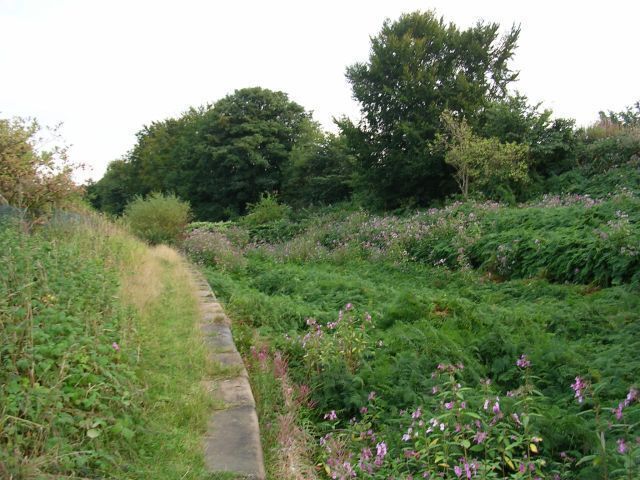 It really is a canal! A section of the derelict Manchester, Bolton and Bury Canal. Built at the close of the 18th Century and closed in 1961, the canal was used mainly to carry coal from the collieries in the area to fuel the local mills and factories. Believe it or not, this section still holds water. SD79710241.