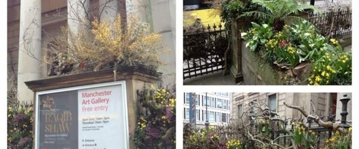 Manchester Art Gallery greened up for the Raqib Shaw exhibition