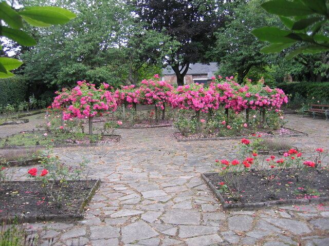 The Rose Garden The gardens, Flixton House, Flixton Park, Flixton.
