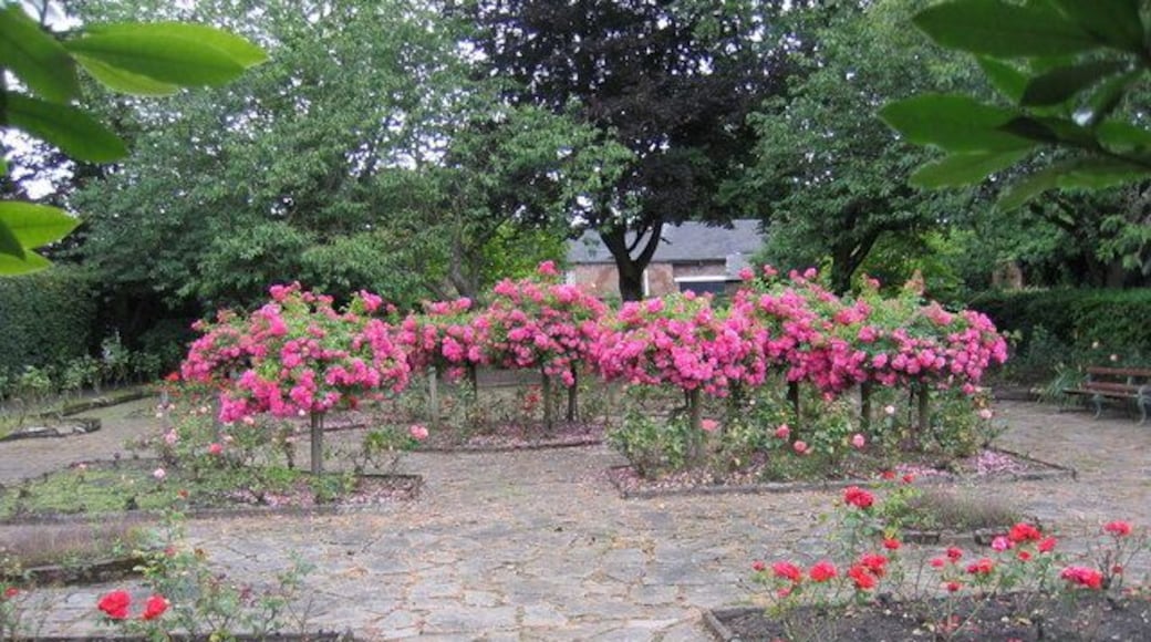 The Rose Garden The gardens, Flixton House, Flixton Park, Flixton.