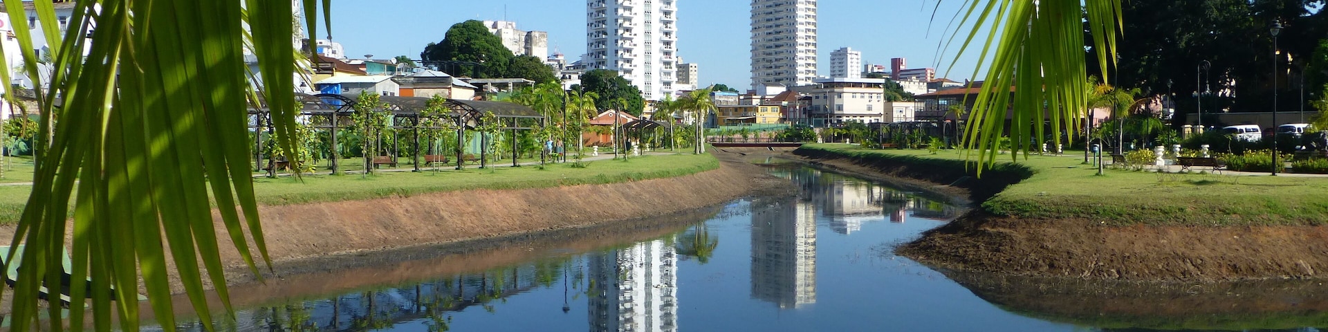 A calm river with a grassy bank, surrounded by palm trees and a cityscape with tall buildings in the background.