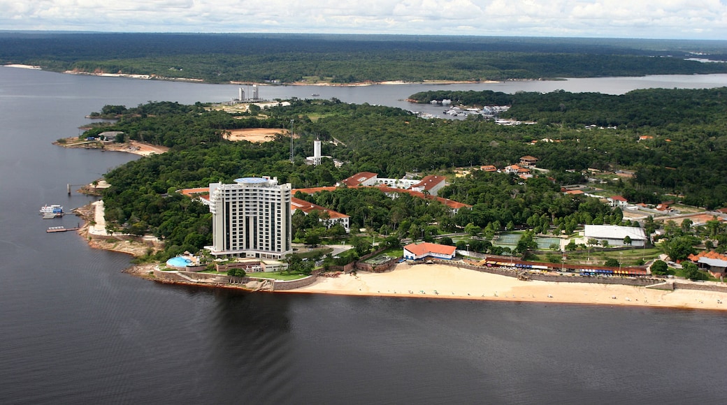 modern buildings in manaus city, brazil