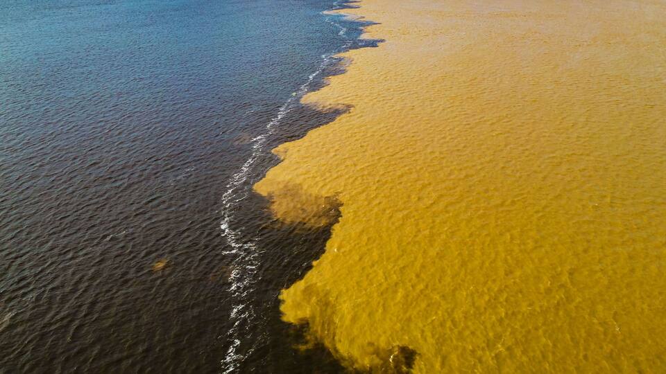A river with a distinct yellow sandbar.