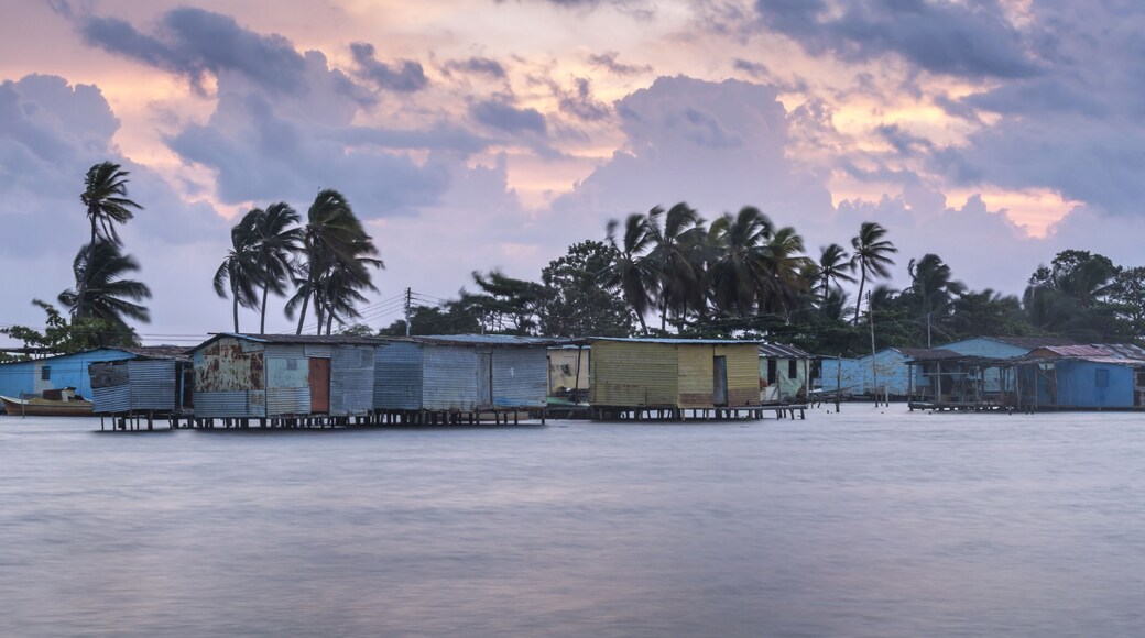 ๋ง๋ผ์นด์ด๋ณด