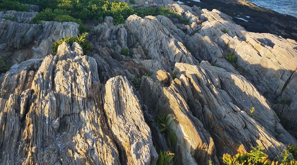 A nice .25 mile walk on the Giant's Stairs Trail with this scenery the whole time. Bailey Island, Harpswell, Maine