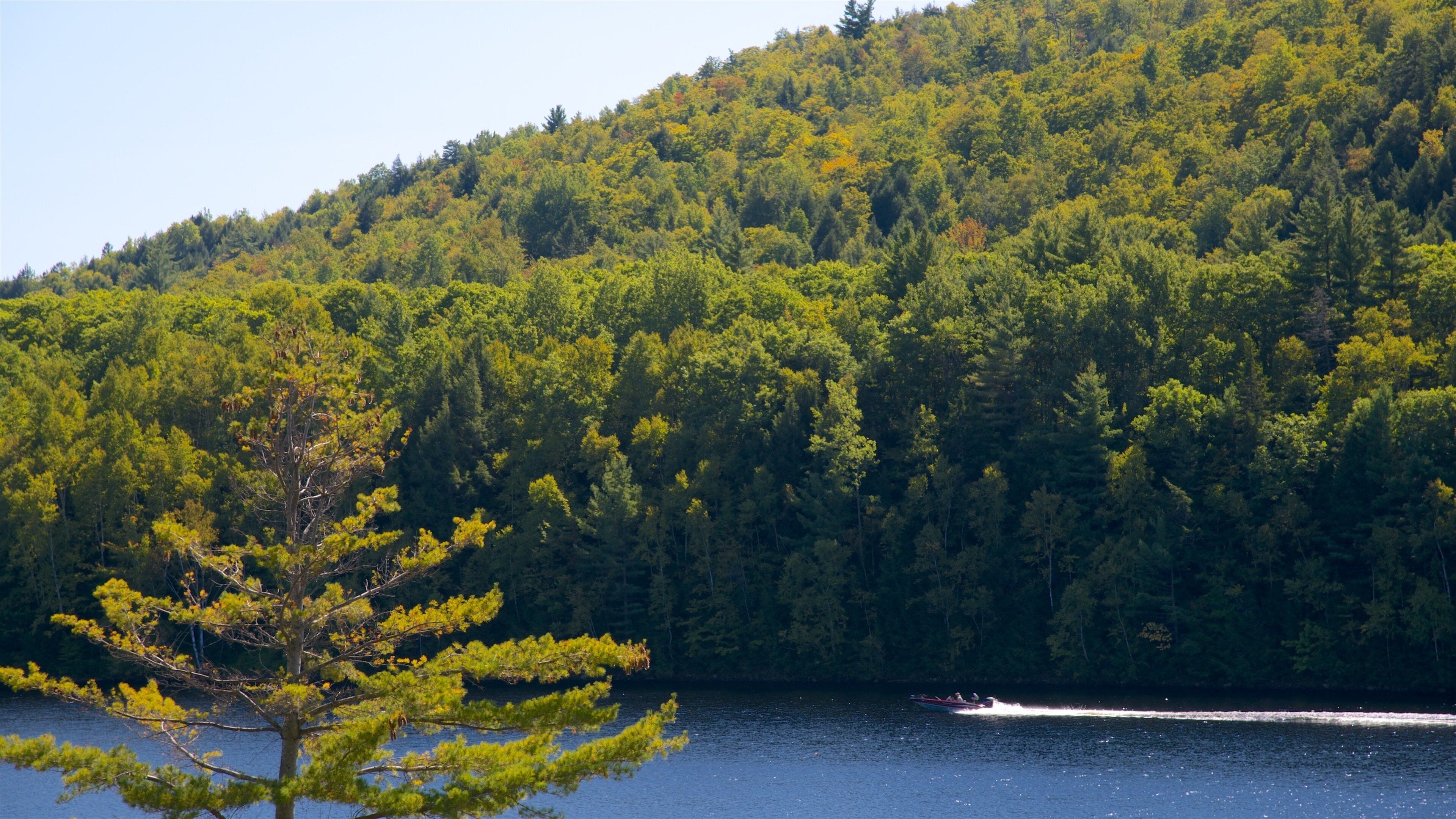 A lake surrounded by dense forest and a boat on the water.