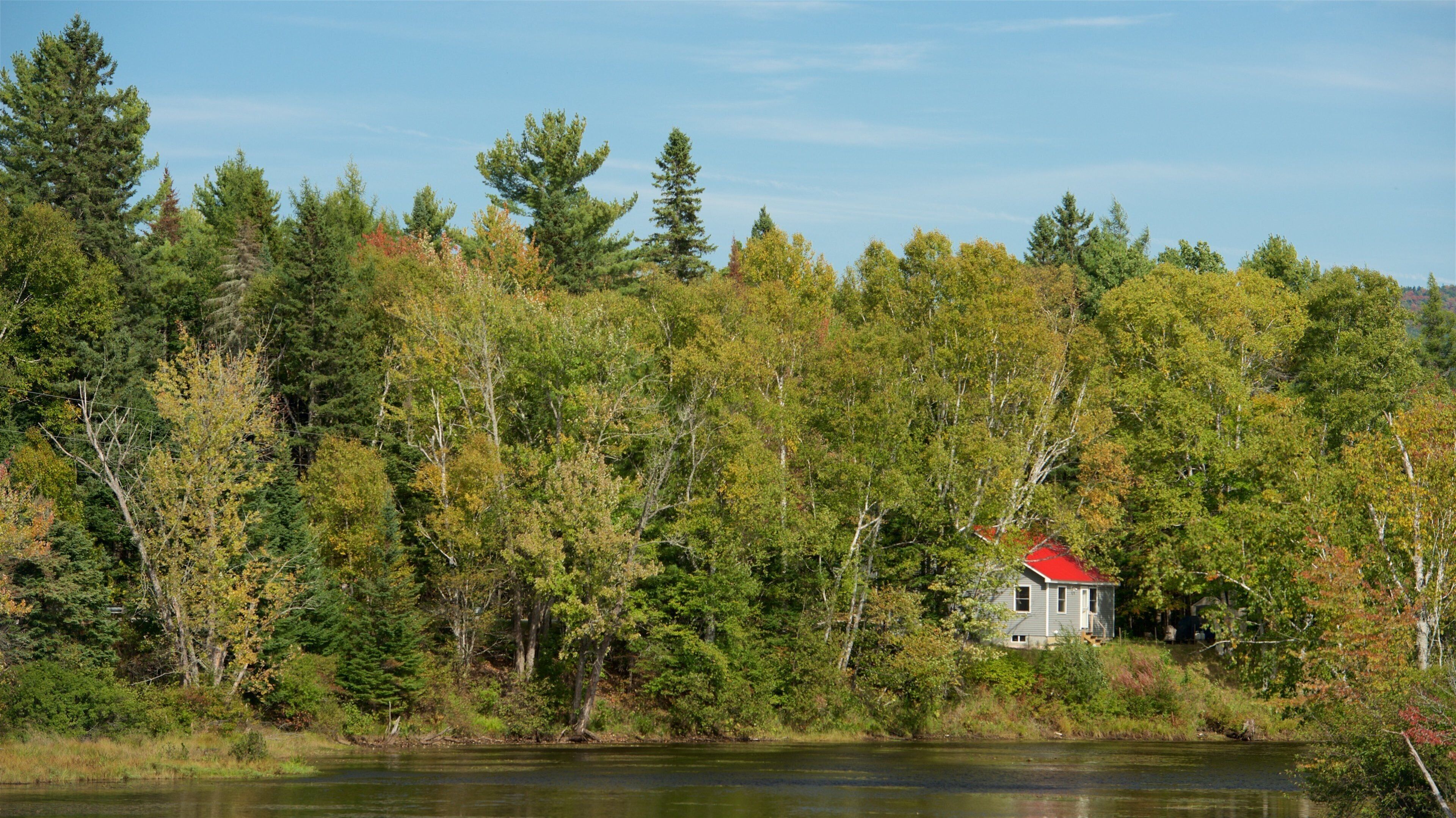 A house with a red roof surrounded by dense forest and a calm lake.