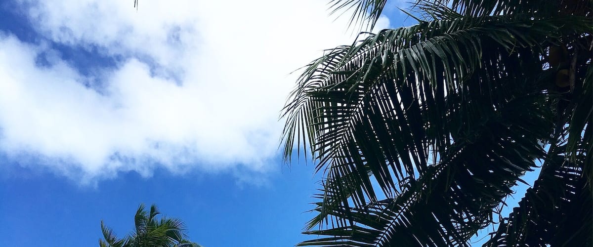 Maupiti beach, you can walk in the lagoon from here to the motu in front and pass by manta ray and Sharks.