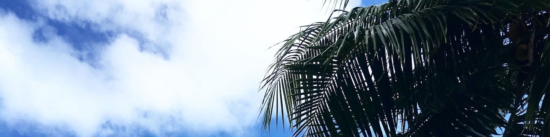 Maupiti beach, you can walk in the lagoon from here to the motu in front and pass by manta ray and Sharks.
