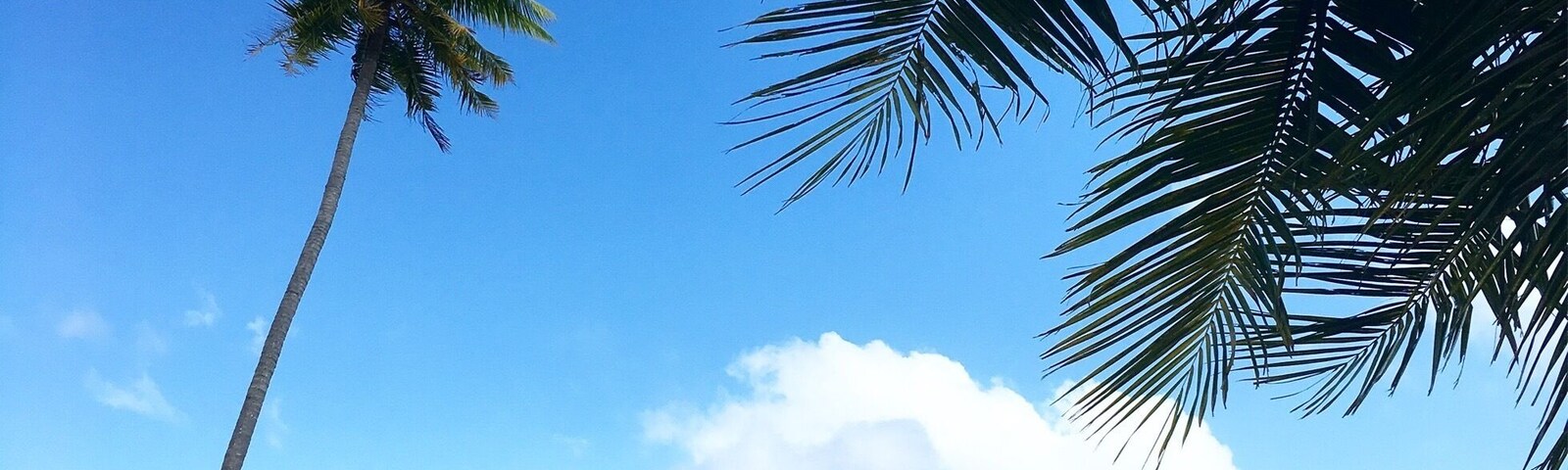 Maupiti beach, you can walk in the lagoon from here to the motu in front and pass by manta ray and Sharks.