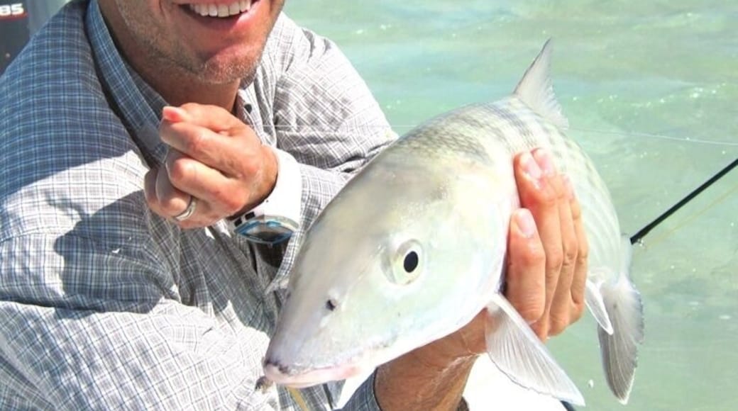 Had a world class guys bone and 'cuda fishing trip here in November. Great cabins, good food, and terrific guides. Ask for Percy or Randy. Mangrove Cay Lodge. Run by Liz and Alton.