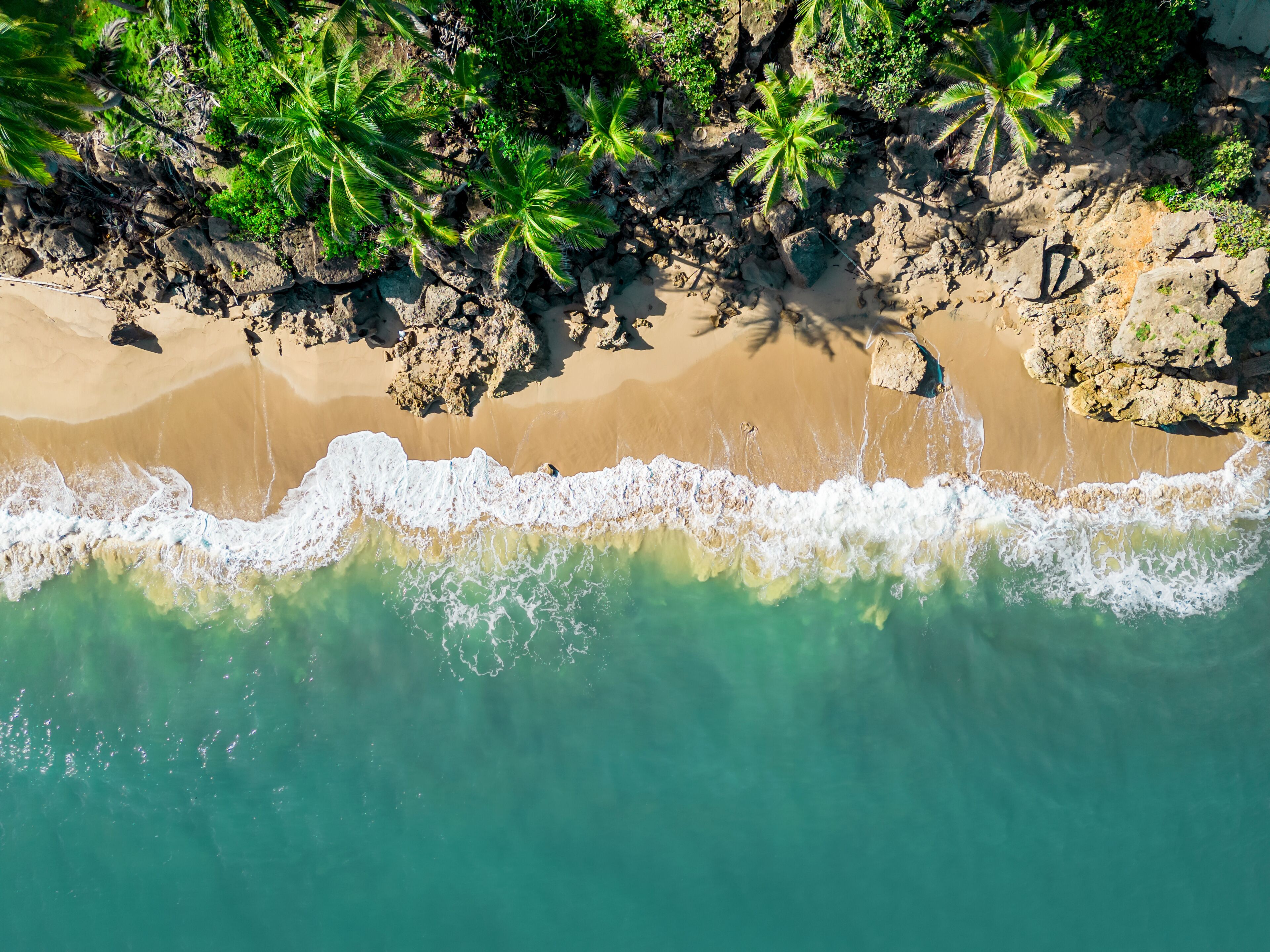 A beach with clear turquoise water, sandy shore, and palm trees.