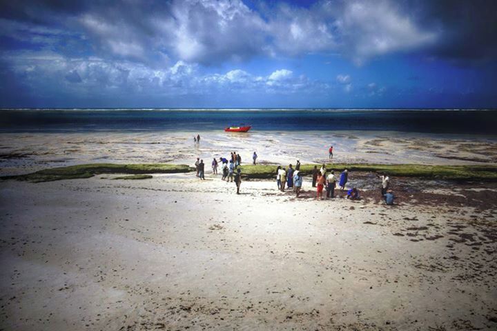 #TroveOn I can't get enough of Mombassa for it's beaches but more for the friendly people.