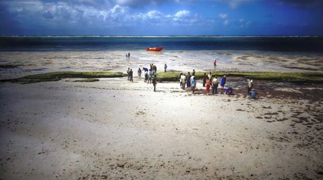 #TroveOn I can't get enough of Mombassa for it's beaches but more for the friendly people.