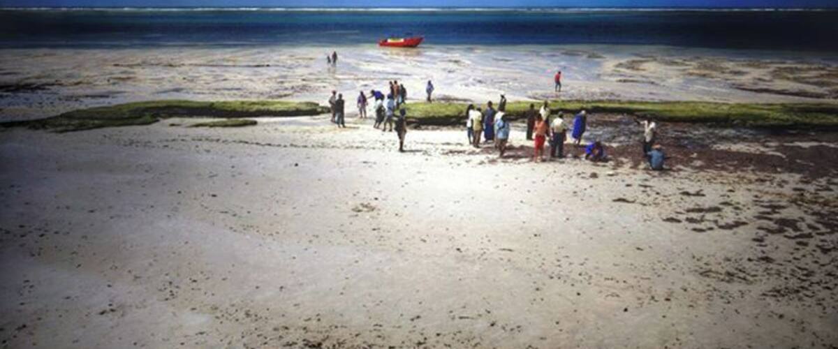 #TroveOn I can't get enough of Mombassa for it's beaches but more for the friendly people.