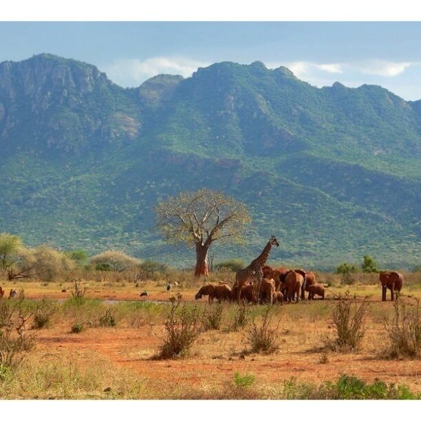 Watching the animals at the watering hole. Though the safaris are guided, they are definitely worth the trip. Just check into the itinerary and the company carefully.
 #bestof5
#GreatOutdoors