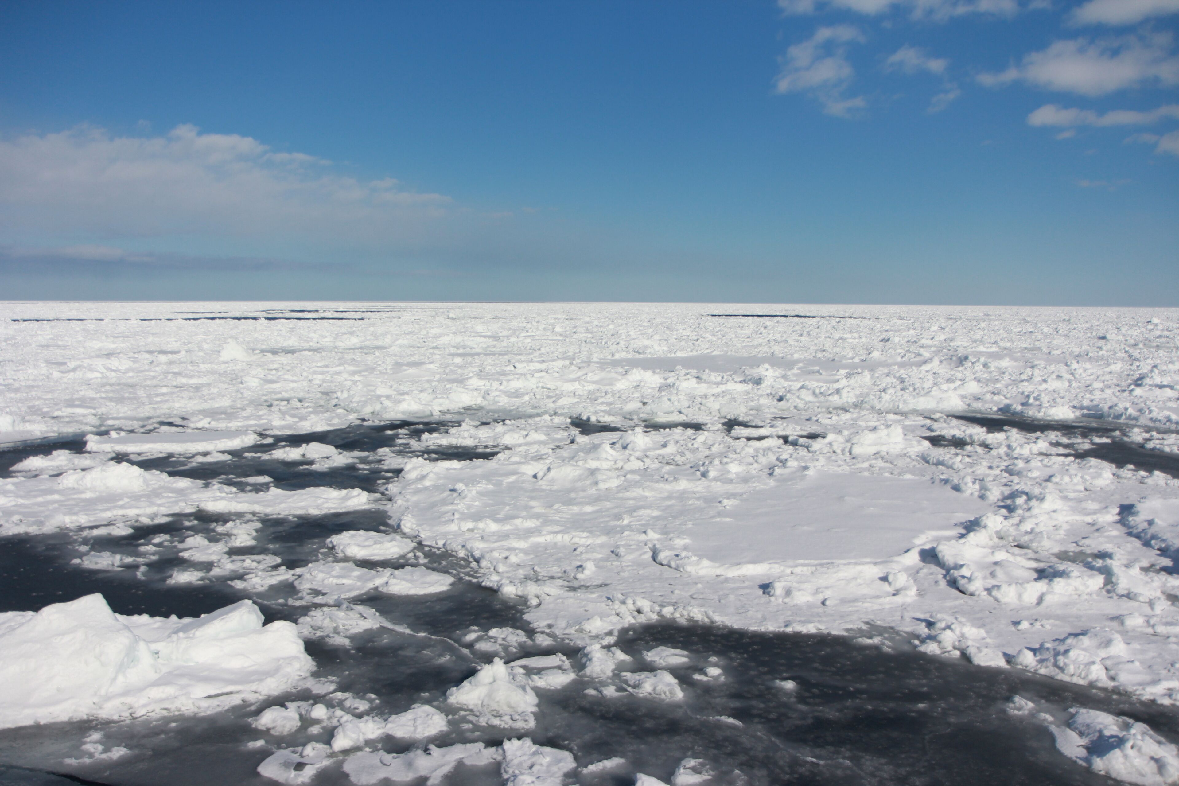 A vast expanse of floating ice and snow under a clear blue sky.
