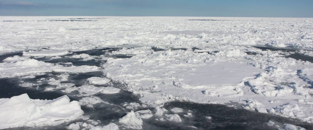 A vast expanse of floating ice and snow under a clear blue sky.