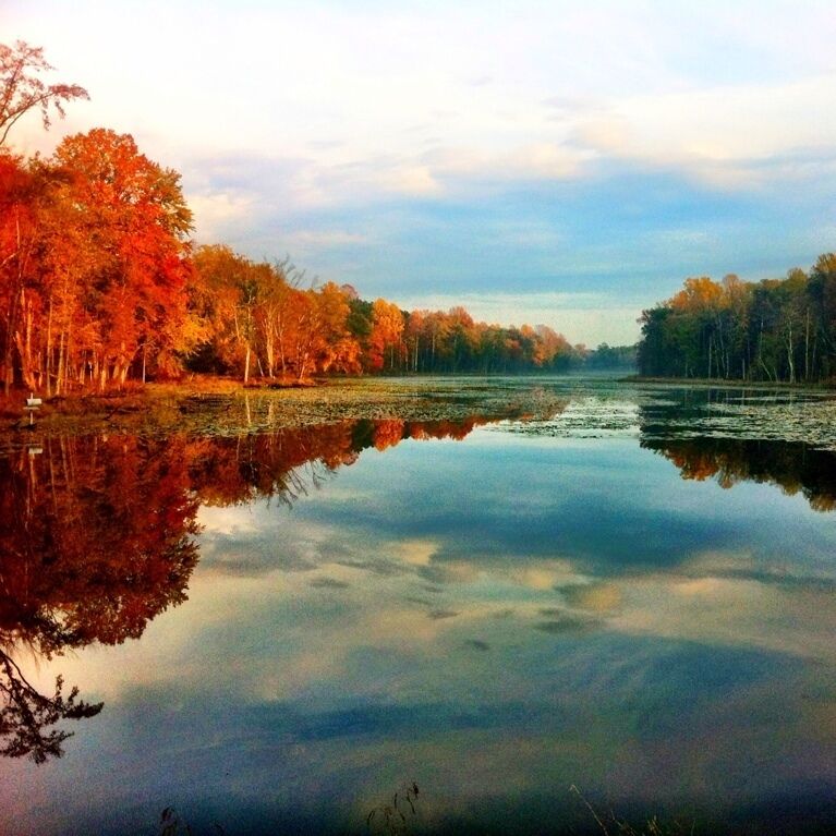Gotta love the colors of Fall!