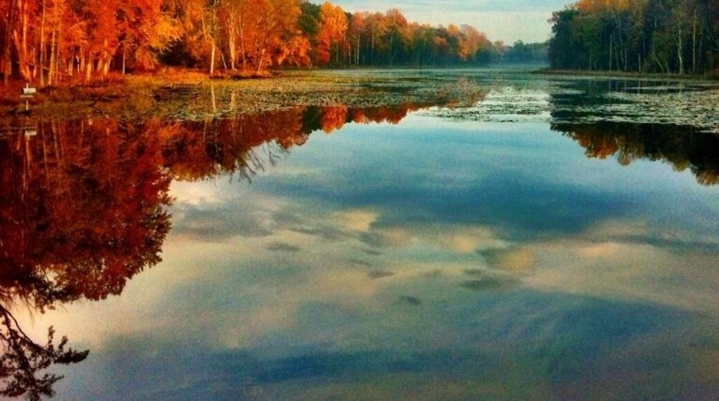 Gotta love the colors of Fall!