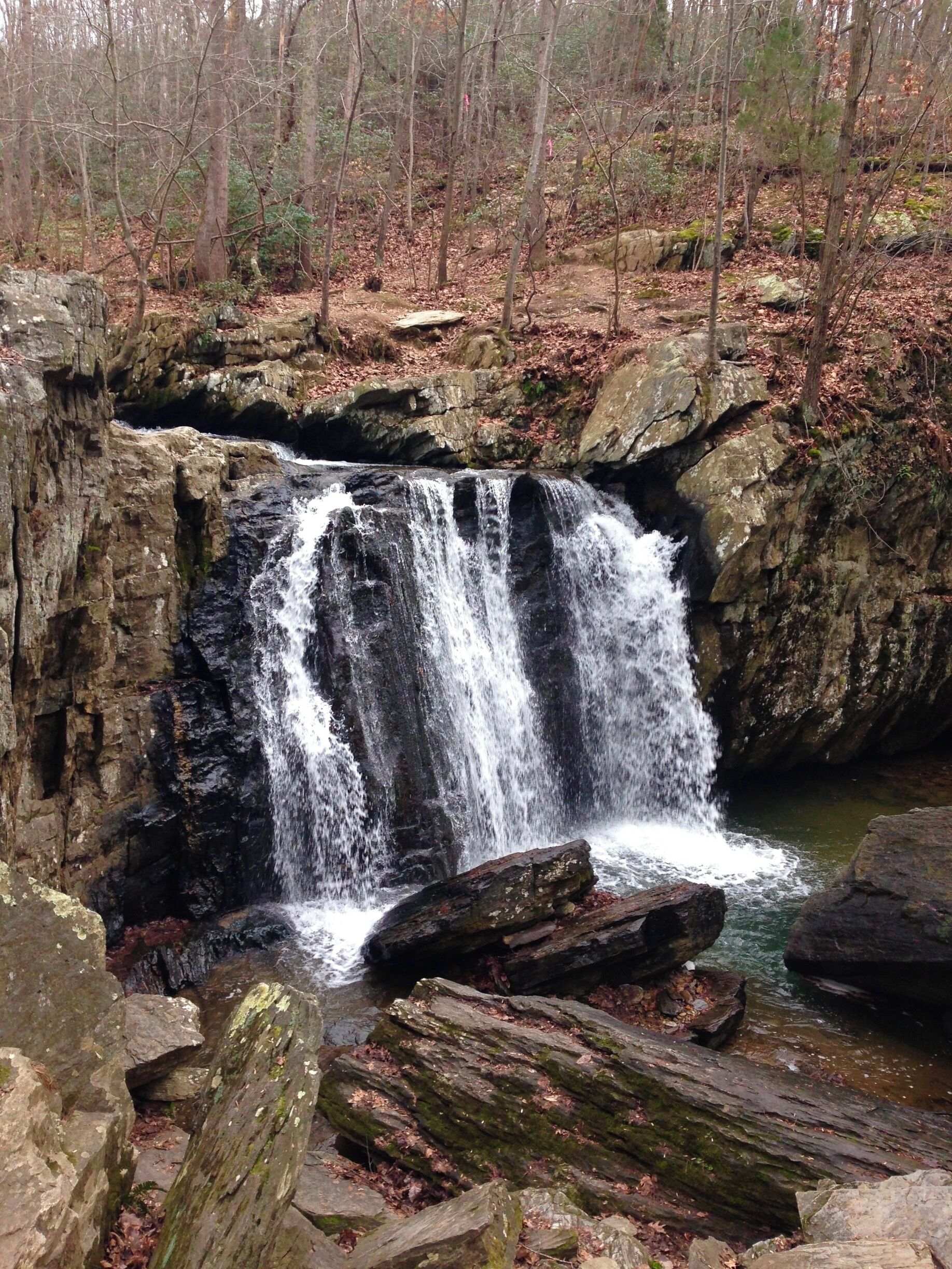 My family and I did this small hike on New Years Day and absolutely loved it. 