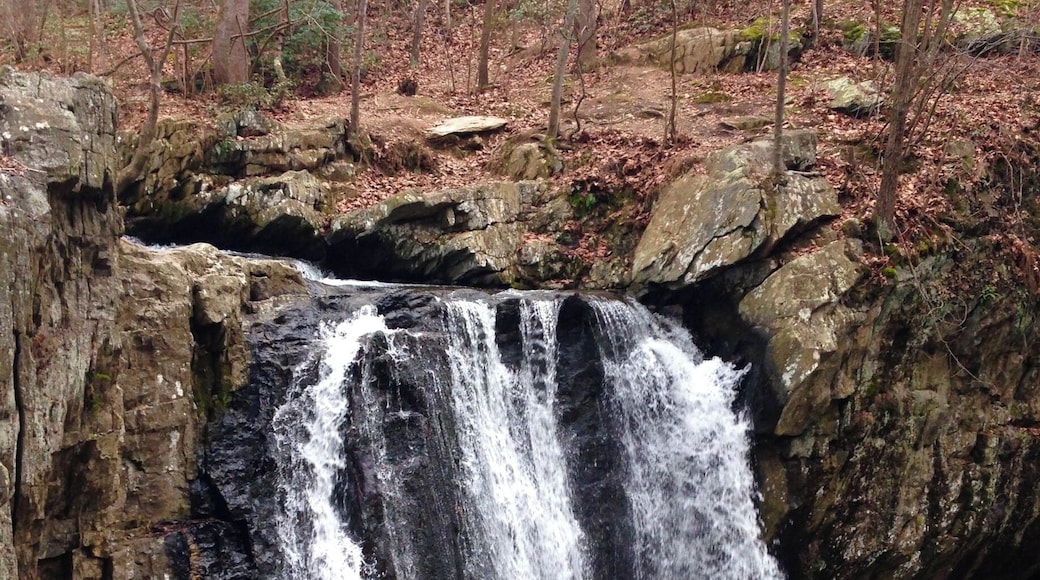 My family and I did this small hike on New Years Day and absolutely loved it.